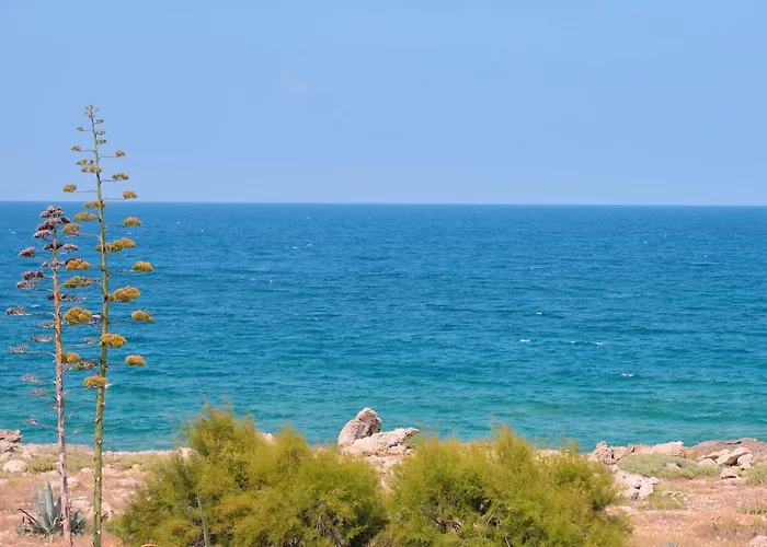 Maria Al Mare