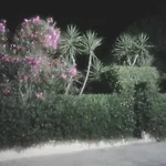 Maria Al Mare
