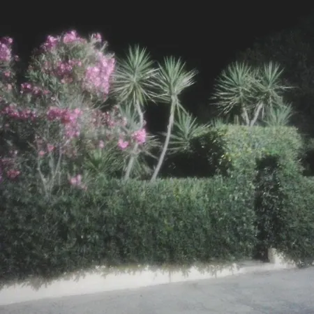 Maria Al Mare
