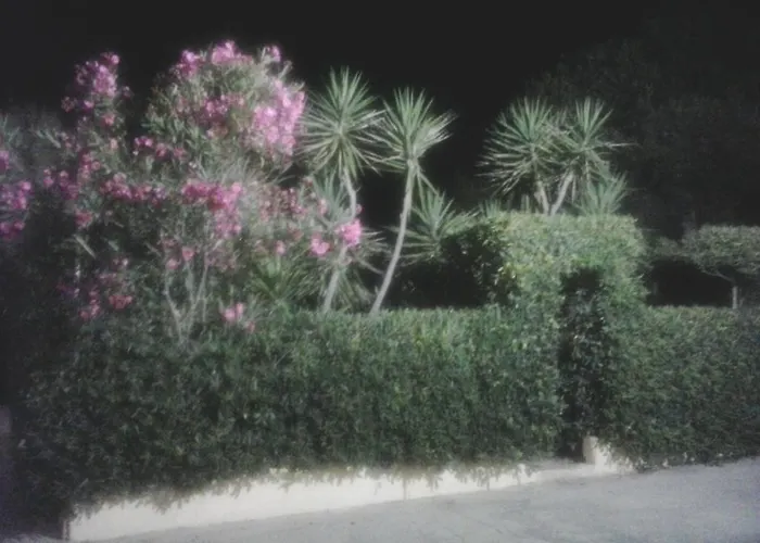Maria Al Mare